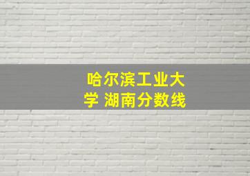 哈尔滨工业大学 湖南分数线